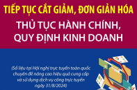 Tiếp tục cắt giảm, đơn giản hóa thủ tục hành chính, quy định kinh doanh