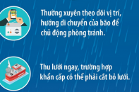 Những lưu ý về neo đậu thuyền tránh trú siêu bão Yagi