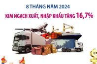 Kim ngạch xuất, nhập khẩu tăng 16,7% sau 8 tháng năm 2024