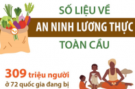 Số liệu về an ninh lương thực toàn cầu