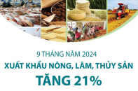 Xuất khẩu nông, lâm, thủy sản tăng 21% sau 9 tháng năm 2024