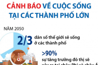 Cảnh báo về cuộc sống tại các thành phố lớn khi trái đất tiếp tục ấm lên