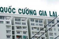 Cổ phiếu Quốc Cường Gia Lai tiếp tục "tím lịm" bất thường 