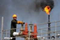 OPEC hạ mức dự báo tăng trưởng nhu cầu dầu mỏ toàn cầu năm 2024