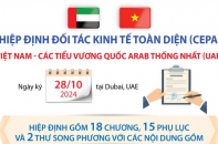 Hiệp định Đối tác kinh tế toàn diện (CEPA) giữa Việt Nam và UAE