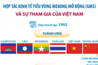 Hợp tác kinh tế tiểu vùng Mekong mở rộng (GMS) và sự tham gia của Việt Nam