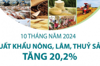 Xuất khẩu nông, lâm, thủy sản tăng 20,2% sau 10 tháng năm 2024