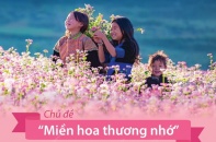 Lễ hội hoa tam giác mạch lần thứ X năm 2024