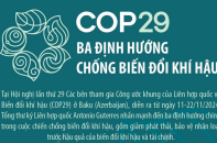 COP29: Ba định hướng chống biến đổi khí hậu
