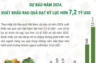 Dự báo năm 2024, xuất khẩu rau quả đạt kỷ lục hơn 7,2 tỷ USD