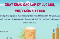 Xuất khẩu gạo lập kỷ lục mới, vượt mốc 5 tỷ USD sau 11 tháng năm 2024