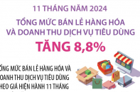 Tổng mức bán lẻ hàng hóa và doanh thu dịch vụ tiêu dùng tăng 8,8% sau 11 tháng năm 2024