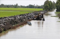 Chủ động phòng, chống, hạn chế ảnh hưởng khi xảy ra hạn hán, thiếu nước, xâm nhập mặn