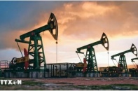 OPEC hạ dự báo tăng trưởng nhu cầu dầu toàn cầu trong năm 2024 và 2025
