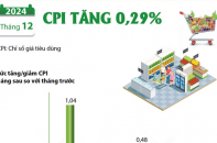 CPI tháng 12/2024 tăng 0,29%