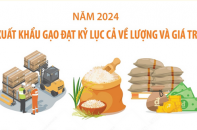 Xuất khẩu gạo đạt kỷ lục cả về lượng và giá trị trong năm 2024