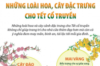 Những loài hoa, cây đặc trưng cho Tết cổ truyền