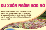Du xuân ngắm hoa nở đầu năm Ất Tỵ