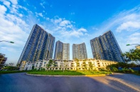 Sunshine Homes công bố báo cáo tài chính quý IV/2024