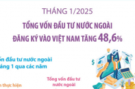 Tổng vốn đầu tư nước ngoài đăng ký vào Việt Nam tháng 1/2025 tăng 48,6%