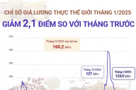 FAO: Chỉ số giá lương thực thế giới tháng 1/2025 hạ nhiệt do giá đường và dầu thực vật giảm