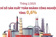 Chỉ số sản xuất toàn ngành công nghiệp tháng 1/2025 tăng 0,6%
