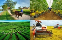 Thống kê, biên soạn số liệu GDP, GRDP kinh tế tập thể