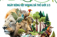 Ngày Động vật hoang dã thế giới 3/3: Những con số báo động