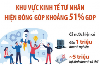 Khu vực kinh tế tư nhân hiện đóng góp khoảng 51% GDP
