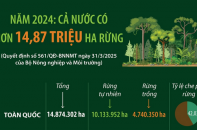 Cả nước có hơn 14,87 triệu ha rừng