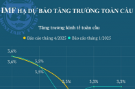 IMF hạ dự báo tăng trưởng toàn cầu giai đoạn 2025 - 2026