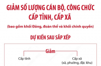 Dự kiến sau sắp xếp, cấp tỉnh giảm hơn 18.440 biên chế cán bộ, công chức