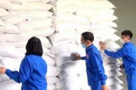 Xuất cấp hơn 1.308 tấn gạo từ nguồn dự trữ quốc gia hỗ trợ nhân dân tỉnh Cao Bằng