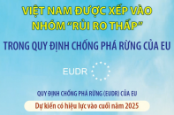 Việt Nam được xếp vào nhóm "rủi ro thấp" trong Quy định chống phá rừng của EU