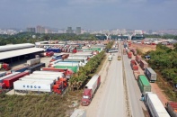 Chủ động khắc phục tình trạng nông sản "được mùa mất giá", nâng cao thu nhập cho người nông dân