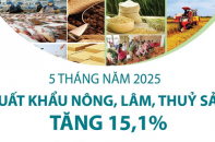 Xuất khẩu nông, lâm, thủy sản tăng 15,1% sau 5 tháng năm 2025