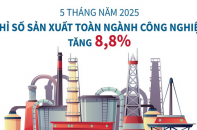 Chỉ số sản xuất toàn ngành công nghiệp ước tăng 8,8% sau 5 tháng năm 2025