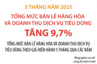 Tổng mức bán lẻ hàng hóa và doanh thu dịch vụ tiêu dùng tăng 9,7% sau 5 tháng năm 2025