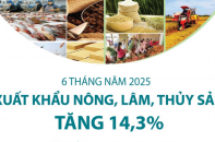 Xuất khẩu nông, lâm, thủy sản tăng 14,3% sau 6 tháng năm 2025