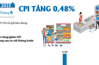 CPI tháng 6/2025 tăng 0,48%