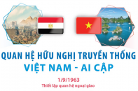 Quan hệ hữu nghị truyền thống Việt Nam - Ai Cập