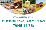 Xuất khẩu nông, lâm, thủy sản tăng 14,7% sau 7 tháng năm 2025 Xuất khẩu nông, lâm, thủy sản tăng 14,7% sau 7 tháng năm 2025