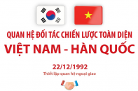 Quan hệ Đối tác chiến lược toàn diện Việt Nam - Hàn Quốc