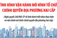 Tình hình vận hành mô hình tổ chức chính quyền địa phương hai cấp