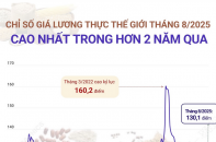 FAO: Giá lương thực thế giới tháng 8/2025 cao nhất trong hơn 2 năm qua