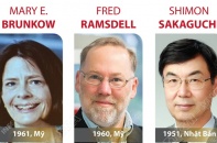 Giải Nobel Y sinh năm 2025 vinh danh 3 nhà khoa học 