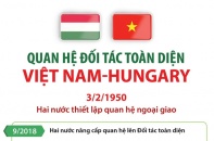 Quan hệ Đối tác toàn diện Việt Nam - Hungary