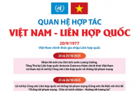 Quan hệ hợp tác Việt Nam - Liên hợp quốc