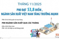 PMI đạt 53,8 điểm, ngành sản xuất Việt Nam tăng trưởng mạnh