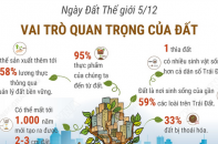 Ngày Đất Thế giới 5/12: Vai trò quan trọng của đất